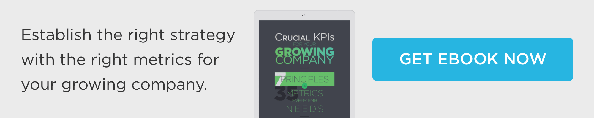download Crucial KPIs for your growing company